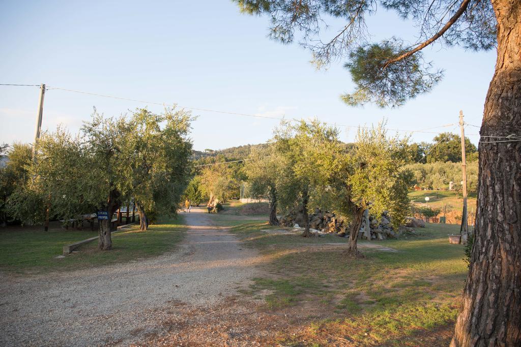 Agriturismo Poggetto Larciano 外观 照片