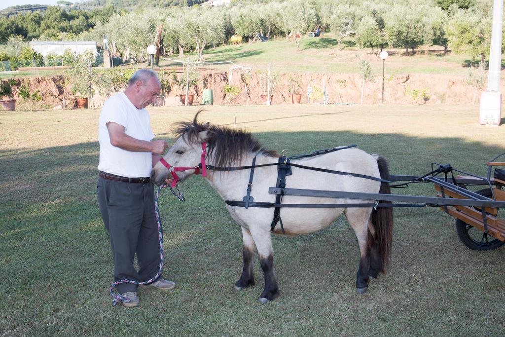 Agriturismo Poggetto Larciano 外观 照片