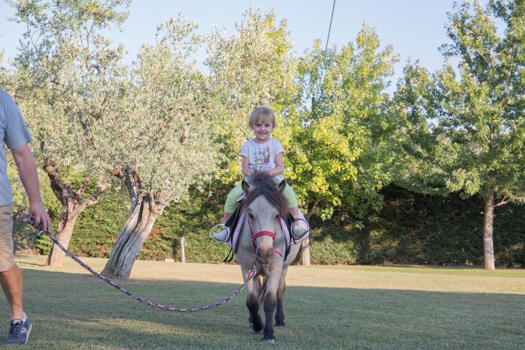 LarcianoAgriturismo Poggetto别墅 外观 照片